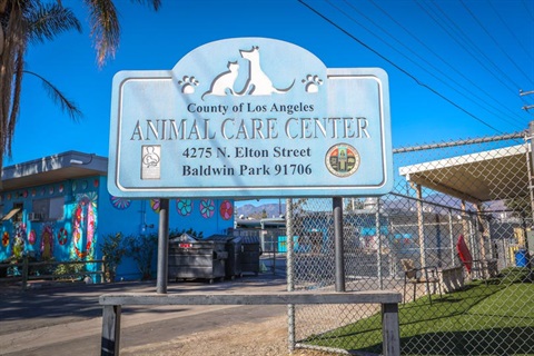 Baldwin Park Animal Care Center.jpeg