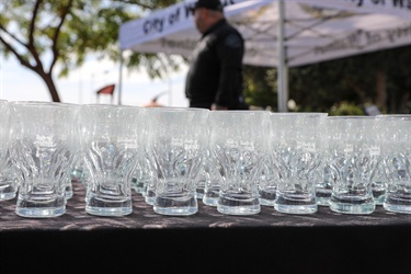 Sample glass cups for tastings at Taste of Walnut