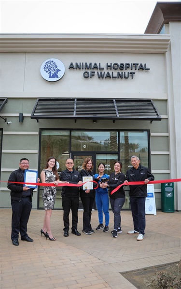 Walnut City Council cutting a ribbon for the grand opening of an animal hospital